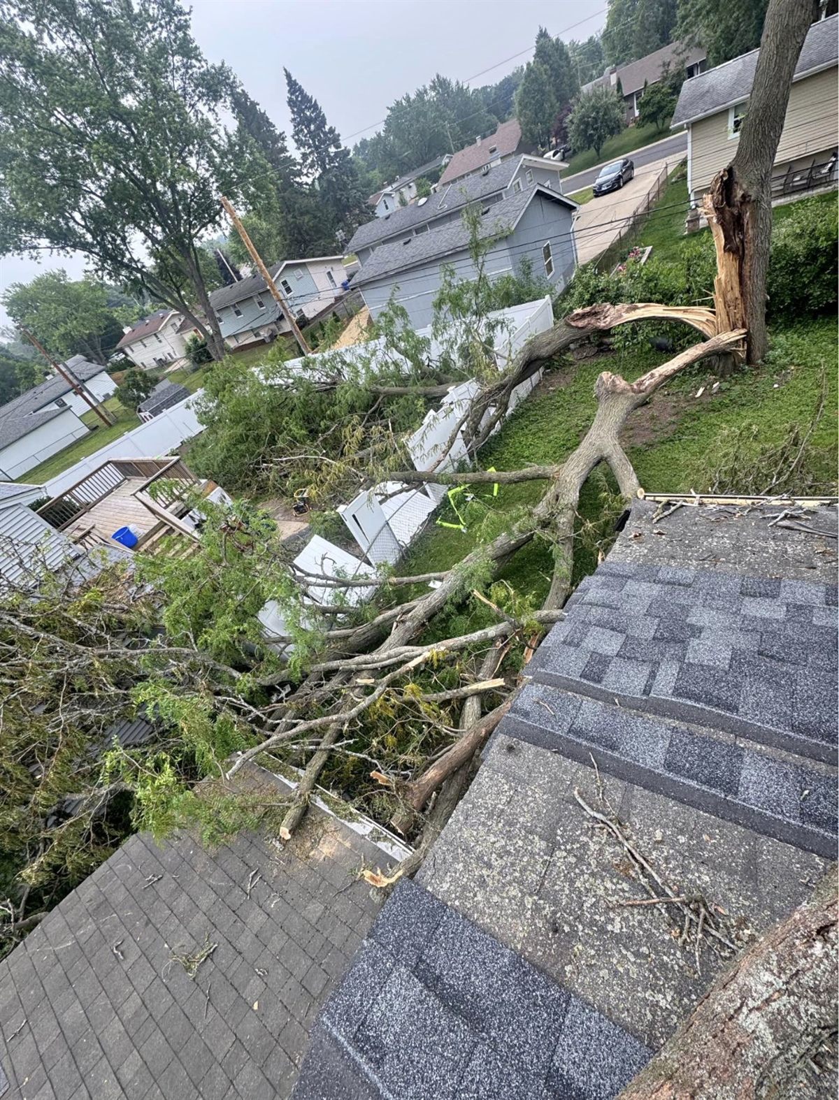 Storm-damaged roof with a fallen tree before restoration